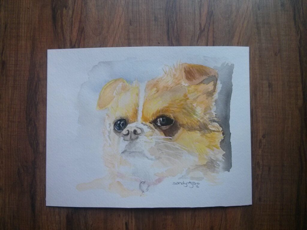 Dog pet portrait painting